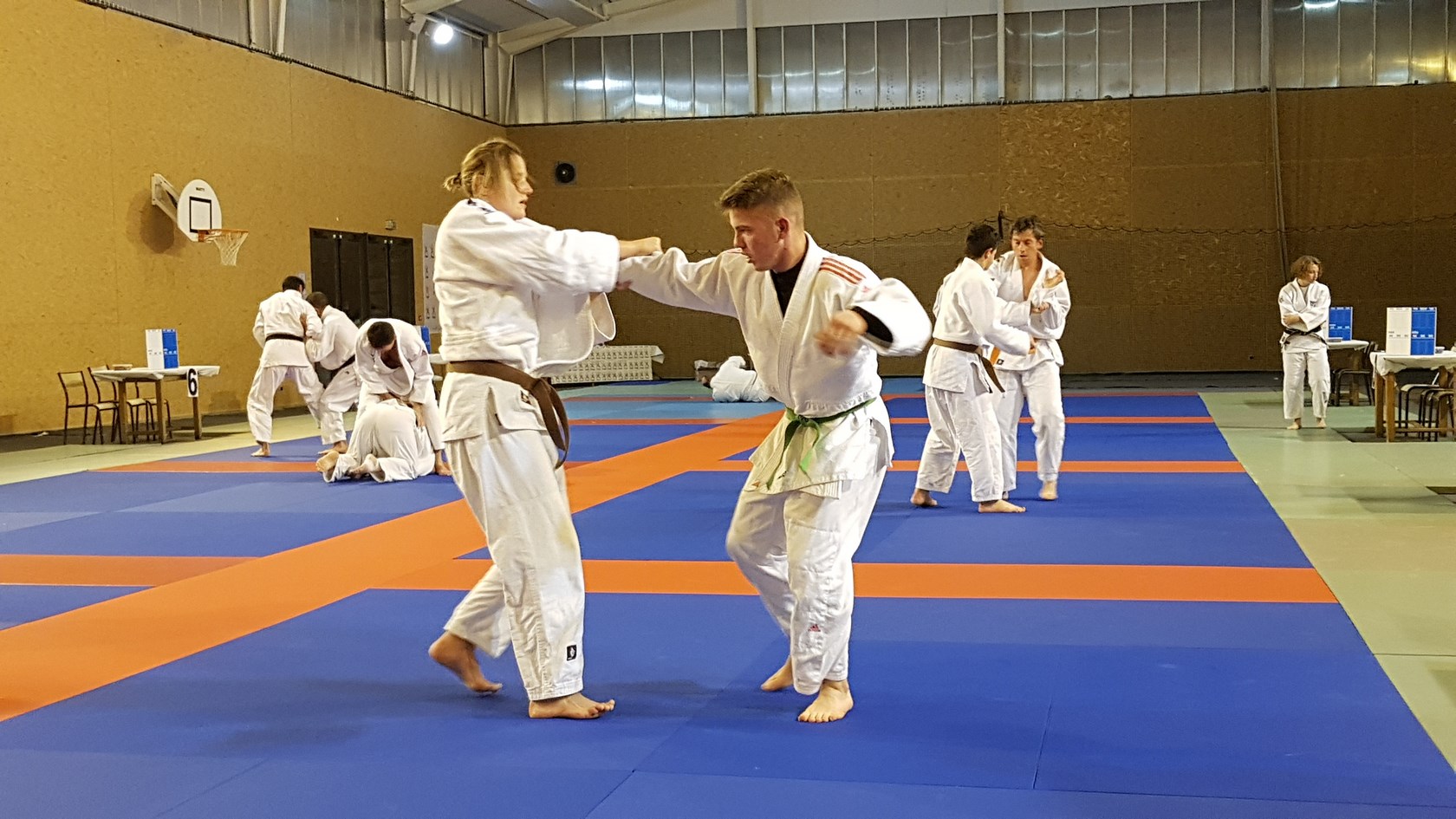 20181124_194515 (Copier)