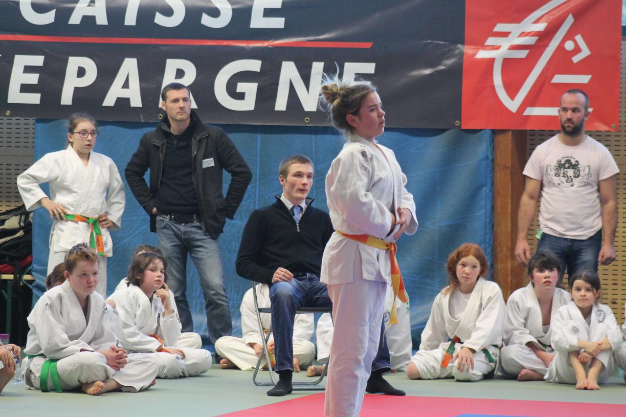 Judo Benjamin  09 02 2014 (46)