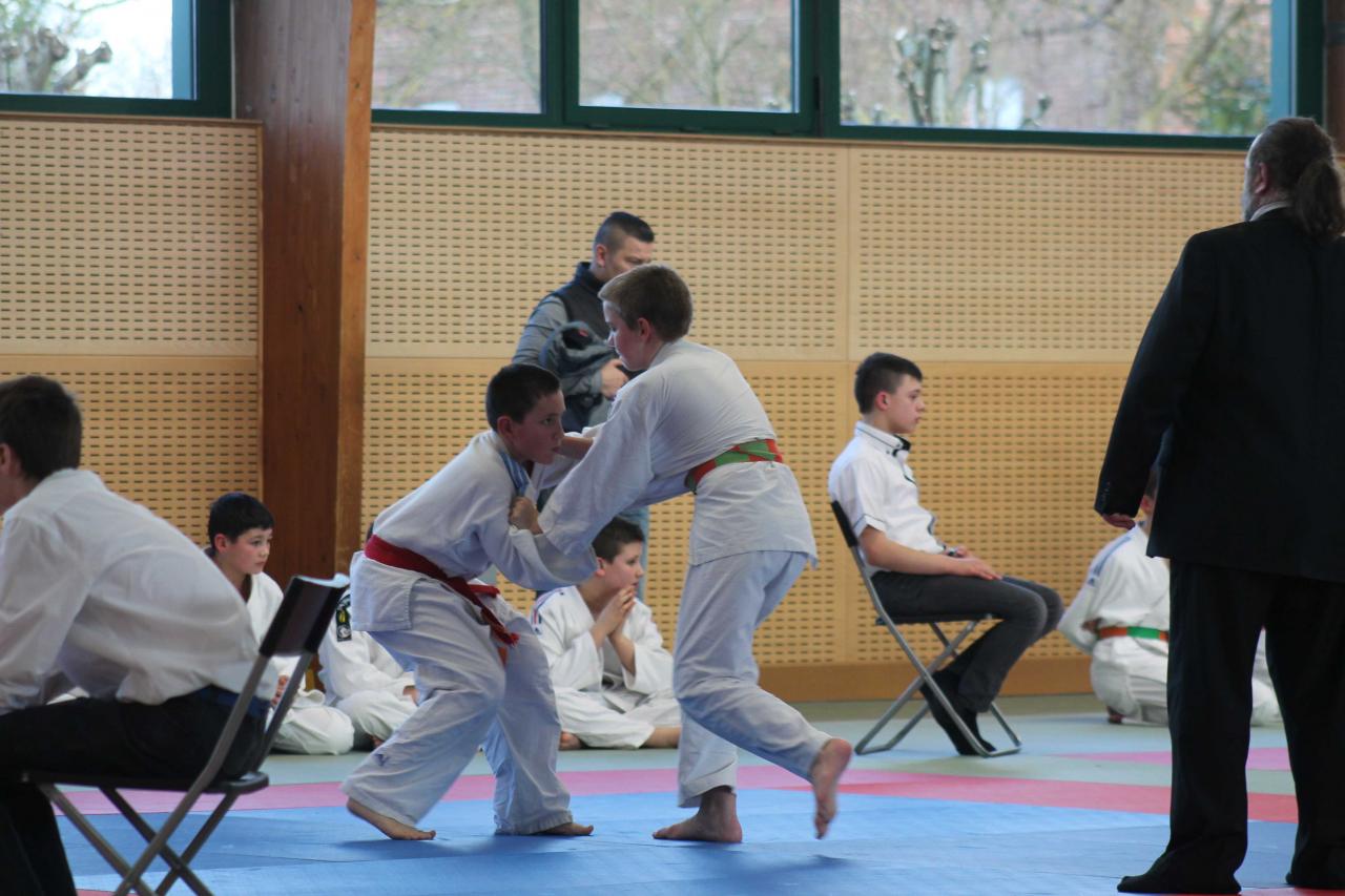 Judo Benjamin  09 02 2014 (8)